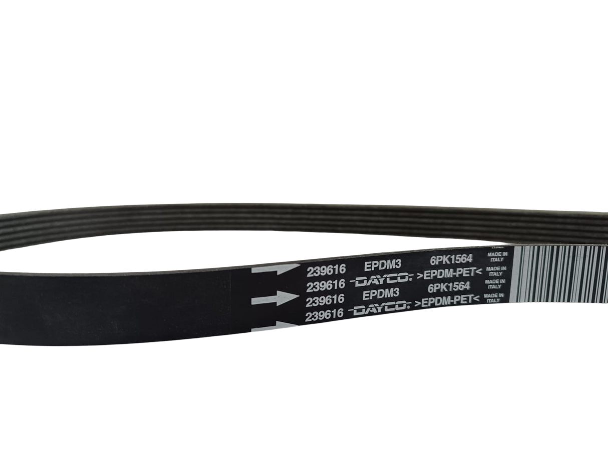 Maserati "DAYCO PV-K" TYPE BELT A 239616
