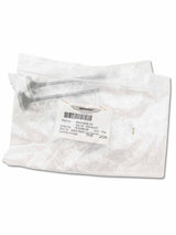 Aston Martin Valvola di scarico 6G33-6505-CB