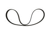 Maserati "DAYCO PV-K" TYPE BELT A 239616